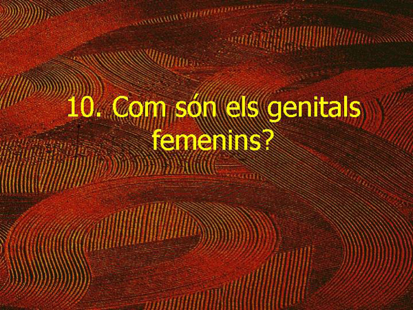 EC1 38 Genitals femenins